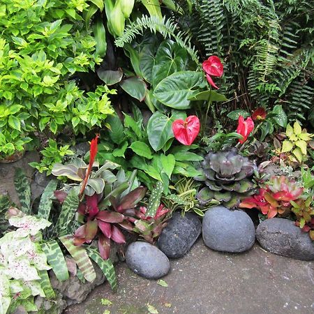 Lilikoi Inn Kailua-Kona Exterior photo