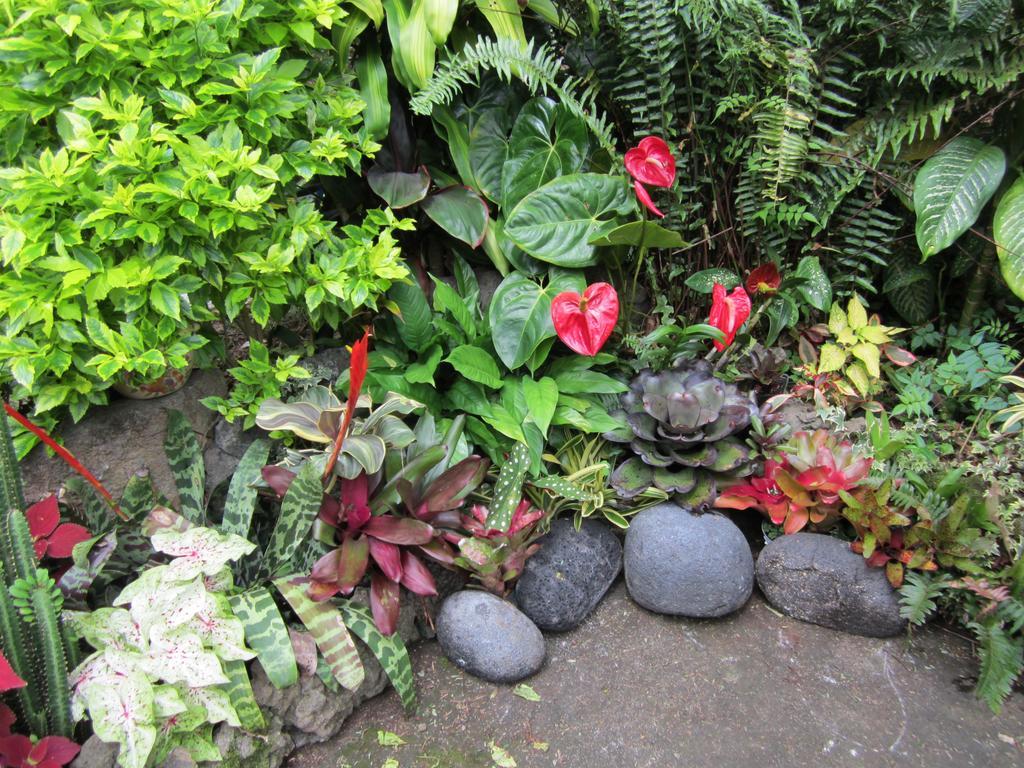 Lilikoi Inn Kailua-Kona Exterior photo