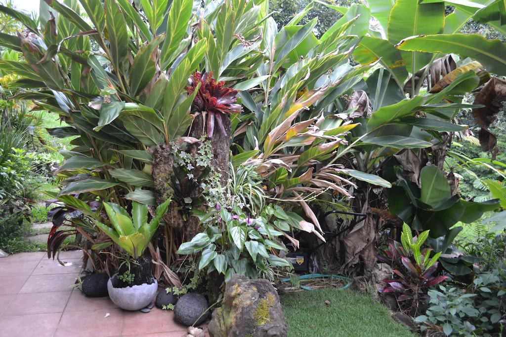 Lilikoi Inn Kailua-Kona Exterior photo